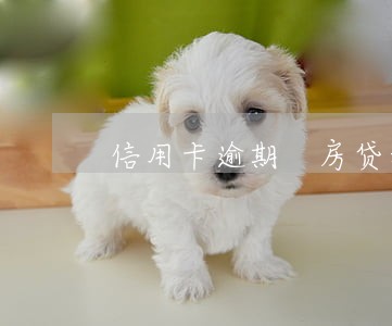 信用卡逾期 房贷利率提高 信用卡逾期 房贷利率提高